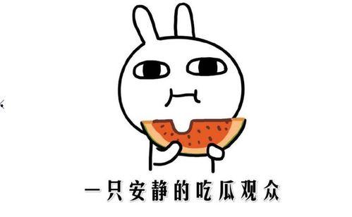 网络吃瓜事件,揭秘网络舆论的狂欢与反思